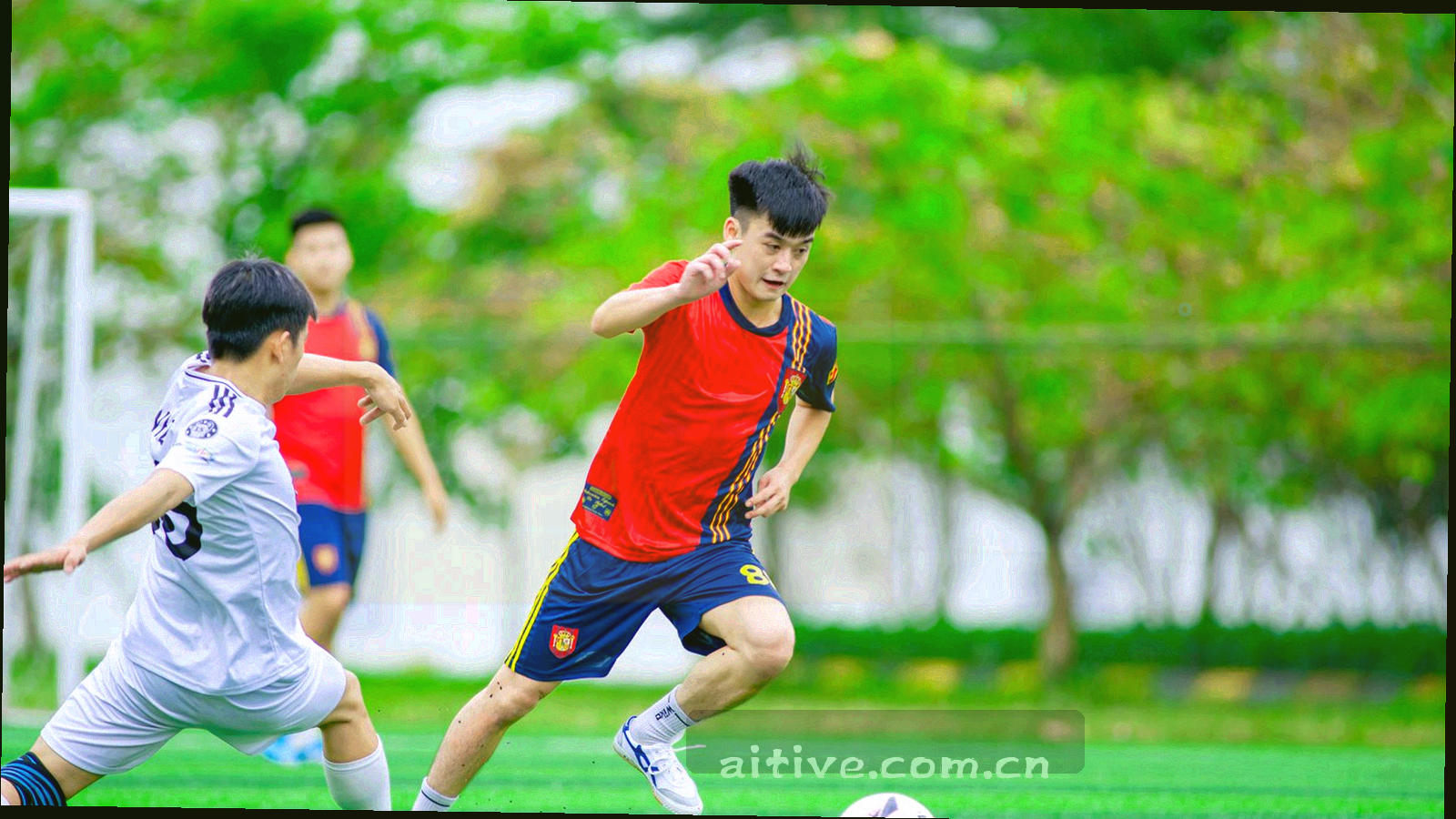 深绿色底上的白色球场边线与半圆抽象线条